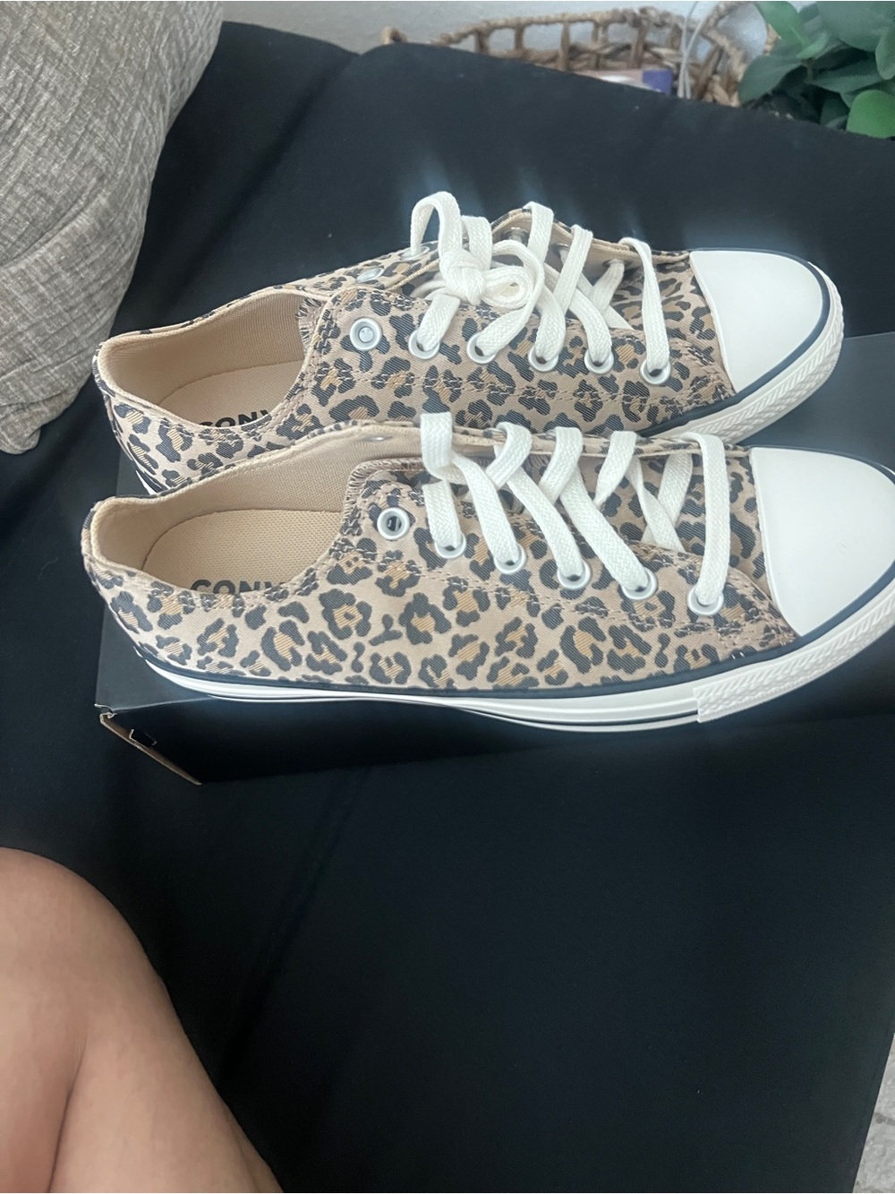 Converse Leopard Print Low-Top Sneakers in Tan and Black